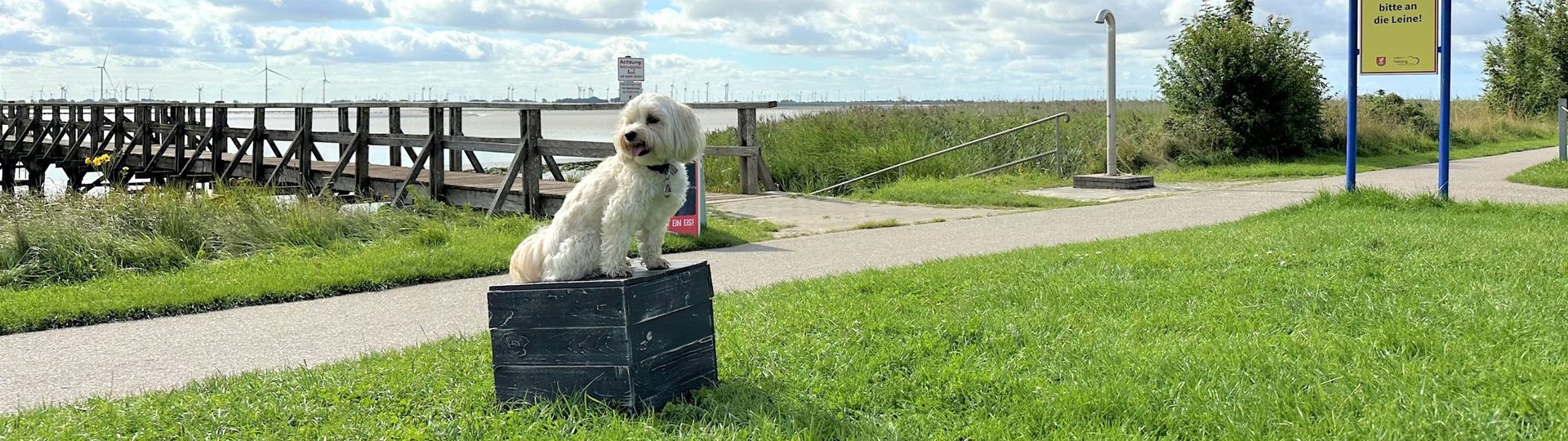 Hier gibt es weitere Informationen für Ihren Urlaub mit Hund in Tönning.