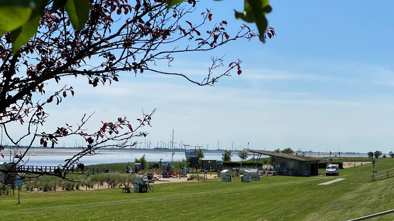 Blick auf den Eiderstrand bei Sonnenschein Juni 2020